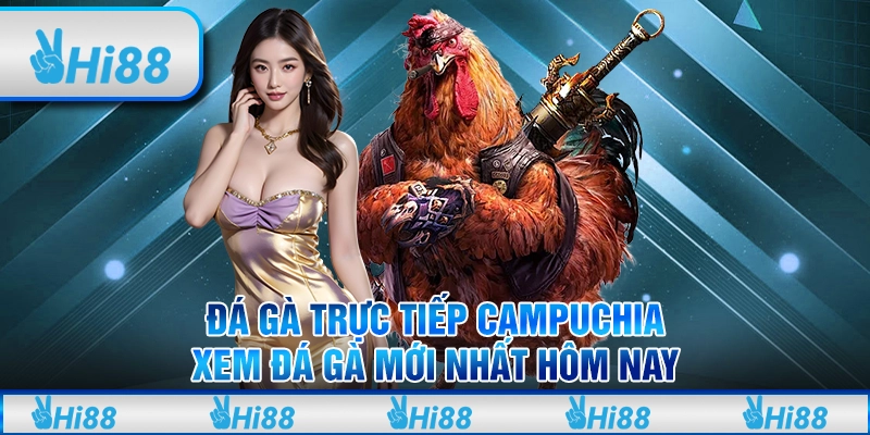 Đá Gà Trực Tiếp Campuchia - Xem Đá Gà Mới Nhất Hôm Nay