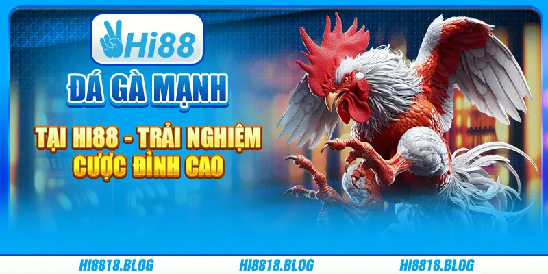 Cược Đá Gà Mạnh Tại Hi88 - Trải Nghiệm Cược Đỉnh Cao