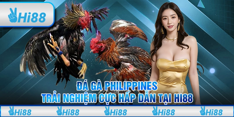 Đá Gà Philippines – Trải Nghiệm Cực Hấp Dẫn Tại Hi88