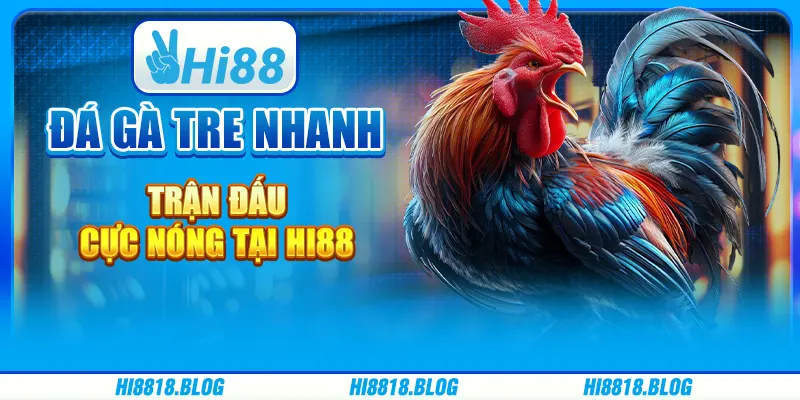 Đá Gà Tre Nhanh - Trận Đấu Cực Nóng Tại Nhà Cái Hi88