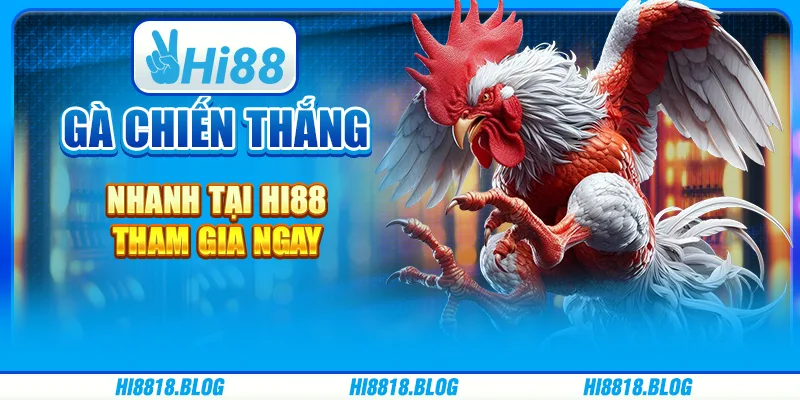 Gà Chiến Thắng Nhanh Tại Hi88, Tham Gia Ngay Cùng Nhà Cái